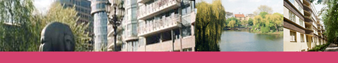 banner_final